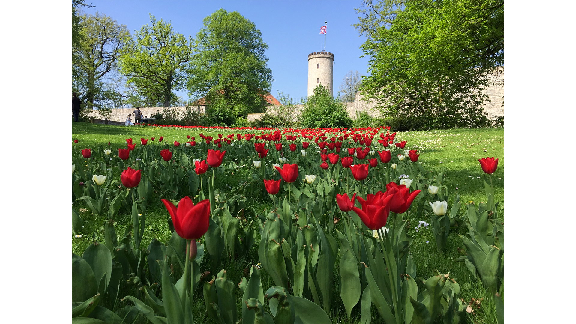 Sparrenburgfrühling