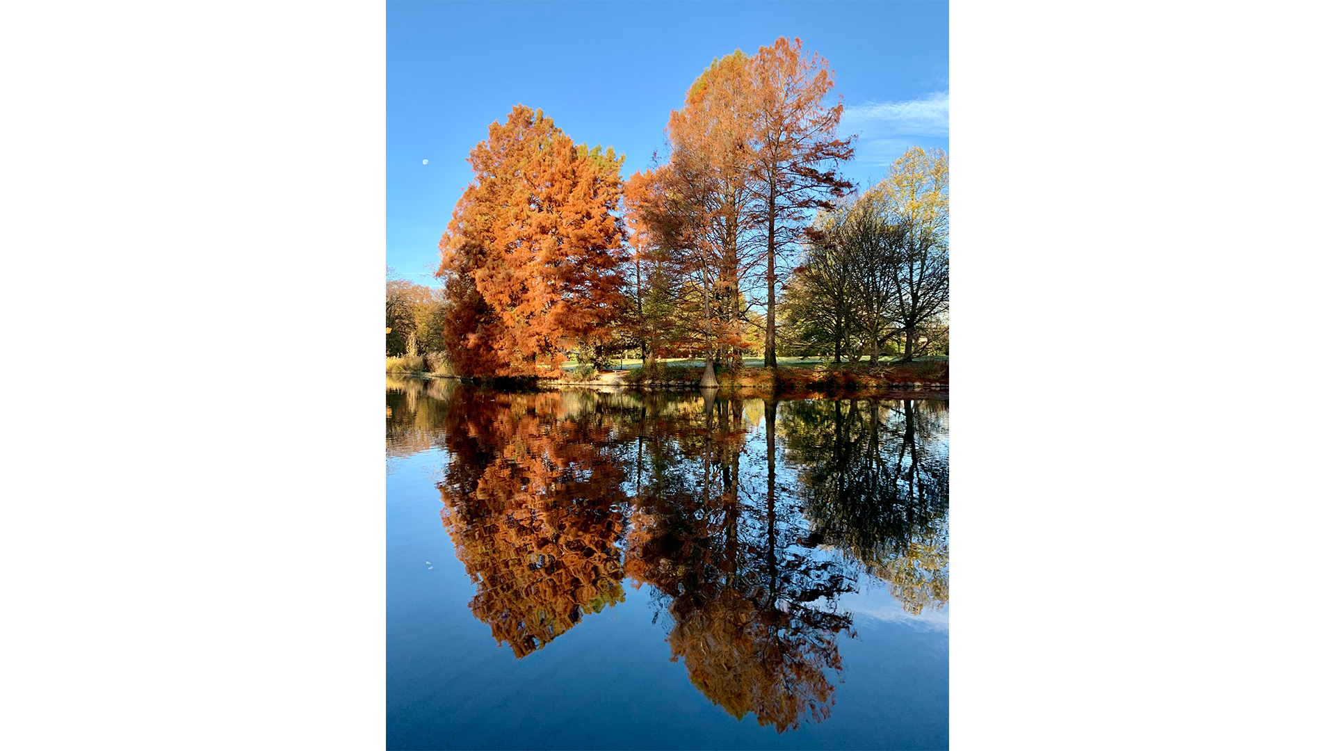 Stadtpark Gütersloh